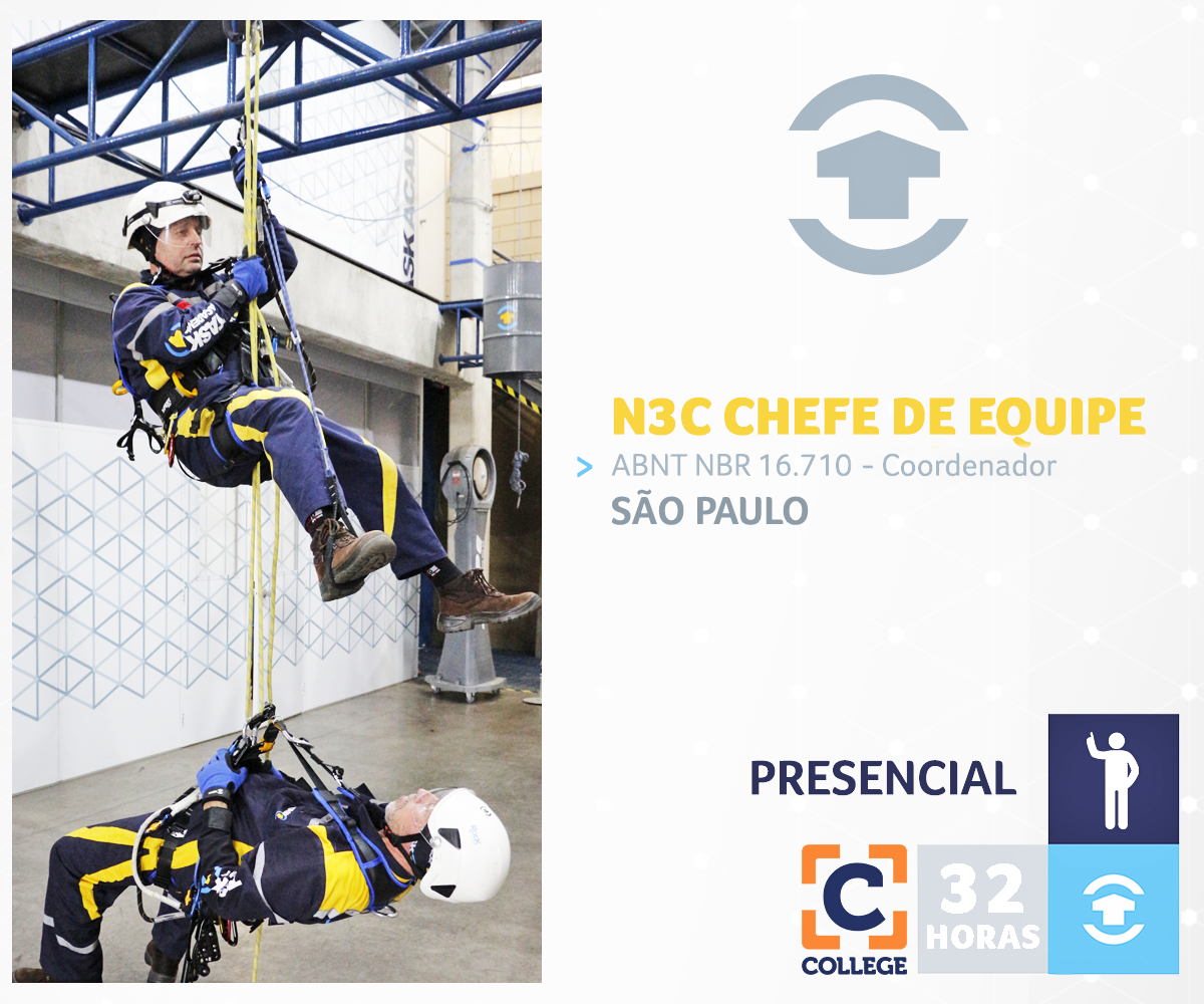 N3C  CHEFE DE EQUIPE - São Paulo